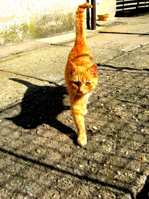 Snmek 047_picnik