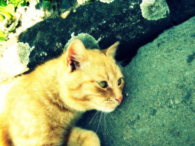 Snmek 357_picnik